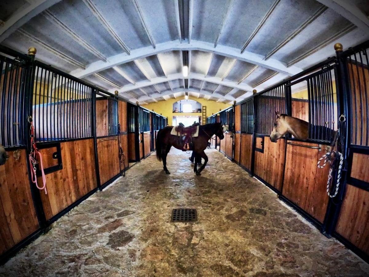 Agriturismo Casale Montebello Monteleone di Spoleto Ngoại thất bức ảnh