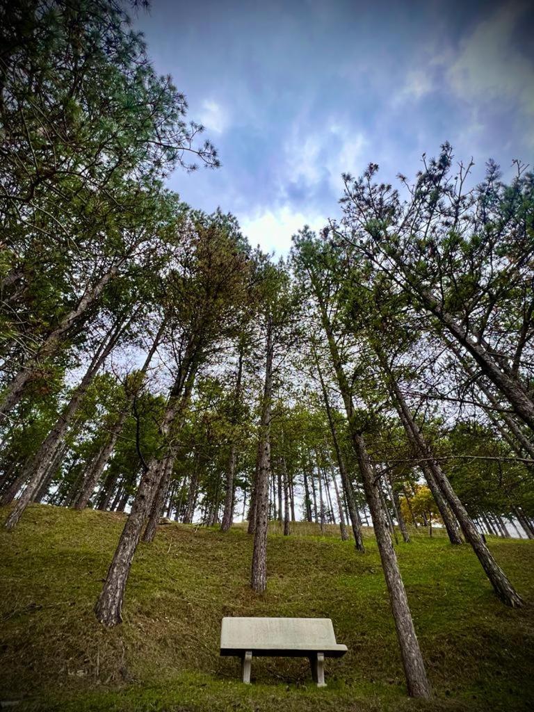 Agriturismo Casale Montebello Monteleone di Spoleto Ngoại thất bức ảnh