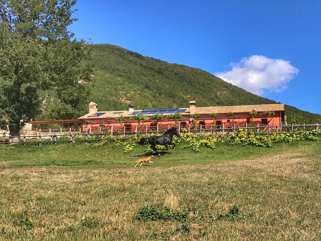 Agriturismo Casale Montebello Monteleone di Spoleto Ngoại thất bức ảnh